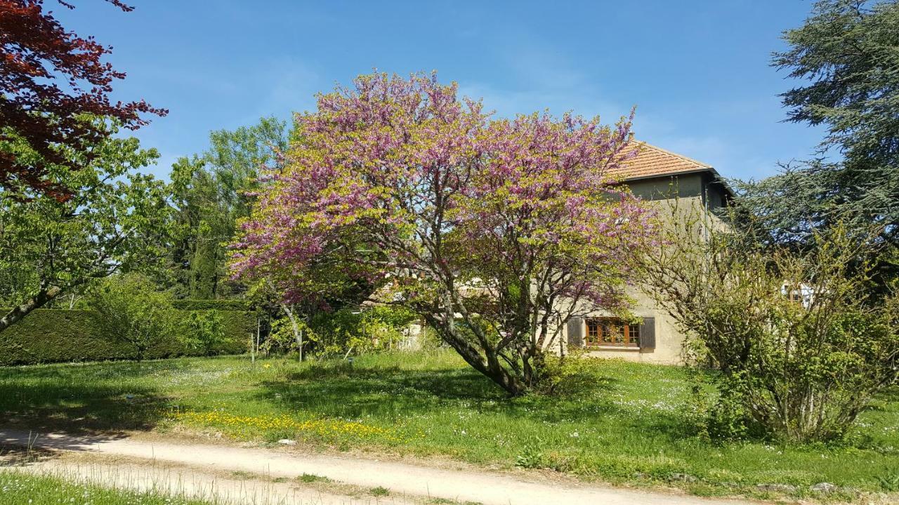 B&B Des Histoires D'Anges - Cote Jardin - Accueil Velo Tournus Exteriör bild