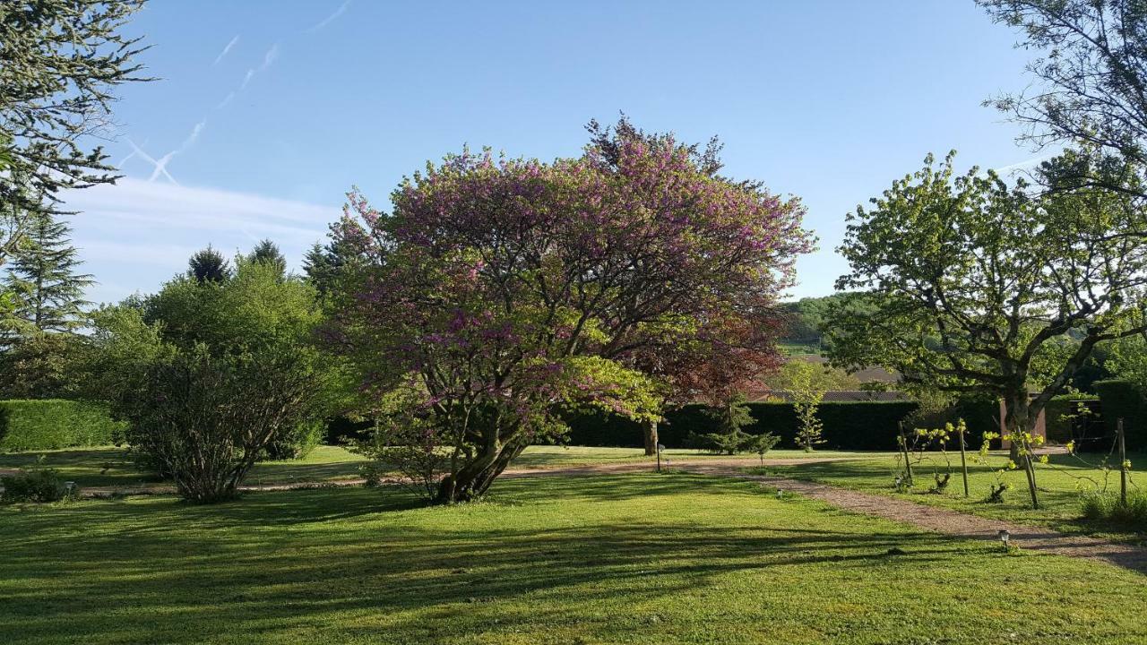 B&B Des Histoires D'Anges - Cote Jardin - Accueil Velo Tournus Exteriör bild